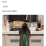 [댓글부탁해] 나 아침 <b>추반점</b> ㅃㄹㅃㄹ