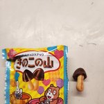 내가 <b>의심병</b>임?