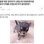여행가서 쓸라고 데오드란트 삿는데