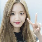 손나은이랑 <b>로제</b> 공통점이 뭔 거 같냐