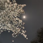 우리집 연간<b>소득</b> 5억 좀 넘는데