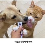 [댓글부탁해] 너네 <b>이중</b>에서 뭐가 제일 상처되는 말임?