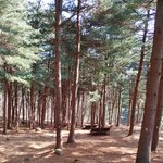 <b>산책</b>중..