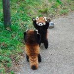 [19] <b>TMI</b> 풀고가자! 하나씩 가볍게 적고가