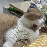 [비트이더] 예전 이야기(는 <b>하아</b>품