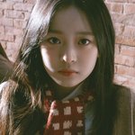 하니 이거 ㅈㄴ 내 <b>추구</b>미