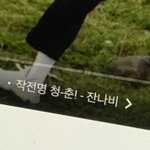 [드루와] <b>작전명</b> 청-춘!