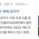 어떻게 기사 제목이 '헤헤 강아지'