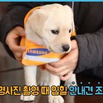 [댓글부탁해] 강아지 <b>평가</b>좀