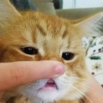 내 <b>쌀알</b> 너한테만 보여주는 거야