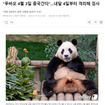 "푸바오 4월 3일 중국간다"…<b>내달</b> 4일부터 격리해 검사