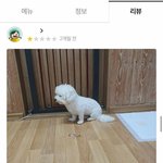 [드루와] <b>1</b>일<b>1</b>식 샐러드로 하면 살 더 빨리 빠지나