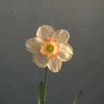 <b>신민아</b> 김우빈은 좋겠다