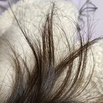 [댓글부탁해] 나 자갈인데 <b>염색</b>