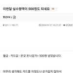 이번달 <b>실수령액</b>이 500정도 되네요