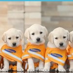 [모두드루와] 솔직히 <b>팬심</b>빼고 여기서 제일많이 까인 여돌 누구임