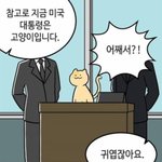 [댓글부탁해] <b>1</b>일<b>1</b>식 해본 애들아 조언좀!