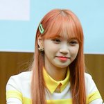 망했다는 아이브 <b>배디</b>도 결국 1위했는데