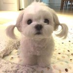 나 인스타 <b>감성</b> 바꿀거다