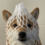 아들 낳으면 <b>차은우</b>