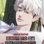 플레이브 얼굴을 성형외과 <b>의사</b>가 오ㅑ 봄