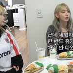 르세라핌 휴가 아직 한 번도 못 받았대