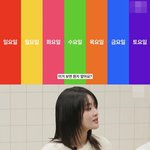 태국은 자기가 태어난 <b>요일</b>을 무조건 안대