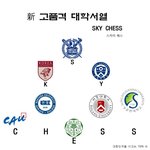 [19] 요즘 상위권대학서열은 <b>CHESS</b>라고 부름