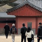 어제자 아빠랑 <b>창덕궁</b>간 티모시샬라메