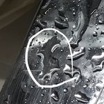 [드루와] 애국자의 수도<b>꼭지</b>를 보렴