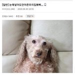 [드루와] 아 이런거에 웃는 내가 넘싫다..