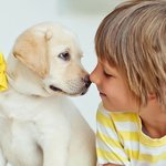 세상에서 가장 <b>무해</b>한 조합 인정??