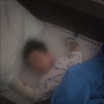 15개월 아이, <b>동물원</b> 토끼에 물려 손가락 절단