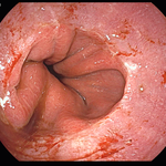 [도와주세요] 개인병원의 의무기록<b>사본</b> 조작