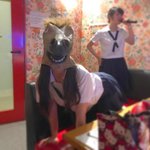 <b>알리</b>에서 20만원 이상 써봄 질문 받을겡