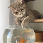 고영희가 <b>집중력</b> 최대치로 끌어올릴 <b>때</b>