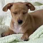 [댓글부탁해] 얘들아 <b>학회</b>비입금햇늗데