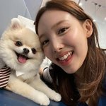트와이스 컴백 <b>축하</b>해