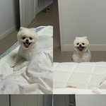 [댓글부탁해] 울아기 보고<b>가라</b>