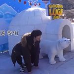 [<b>TXT</b>] 범규 진짜 분위기 메이커야