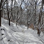 일류 요리사가 개발한 신메뉴.