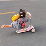 [드루와] 아이스아메리카노에 옥수수<b>수염</b>차 타면