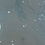 [드루와] <b>현재</b> 80키로 골반임