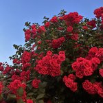 [꼭조언부탁] 판녀들아 너희들이 내 세상을 바꿀거야