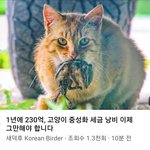 <b>투기</b>장여는 유튜버