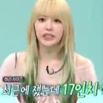 [댓글부탁해] 르세라핌 김채원 사쿠라 <b>허리</b>17인치래