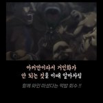 <b>진격</b>거 잘아는 사람 답 좀...