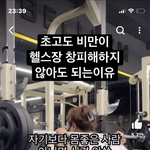<b>헬스</b>장 이거 ㄹㅇ인게