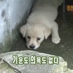 160에 47 <b>정도</b>면 어떤 <b>느낌</b>임???