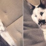 하 고삼인데 방학 다 <b>날림</b>